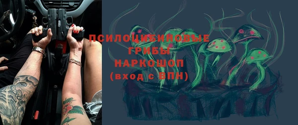 спайс Новодвинск