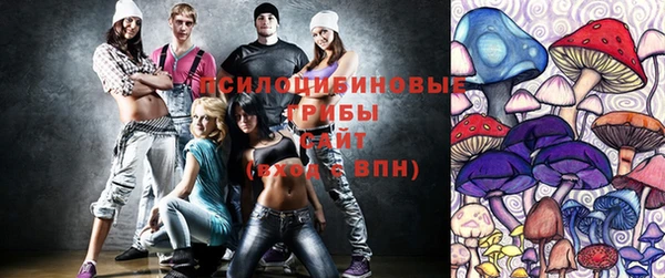 PSILOCYBIN Новокубанск