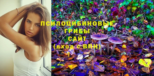 спайс Новодвинск