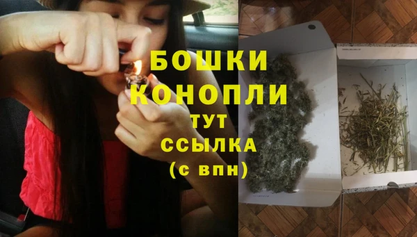 спайс Новодвинск