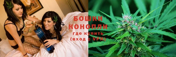 мдма Новозыбков