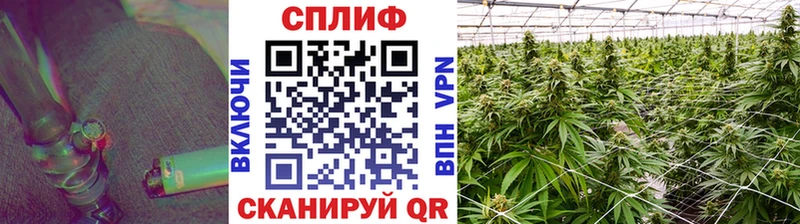 ОМГ ОМГ ссылка Навашино Бошки марихуана индика